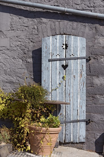 Old farmhouse, facade, decorated, flower pots, knotweed (Fallopia baldschuanica), weathered wooden door with heart, idyll, romantic, Nidda, Vogelsberg, Wetterau, Hesse, Germany, Europe