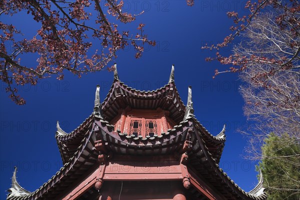 The Tower of Condensing Clouds pavilion framed by deciduous trees in traditional Chinese garden in spring, Montreal Botanical Garden, Quebec, Canada, North America