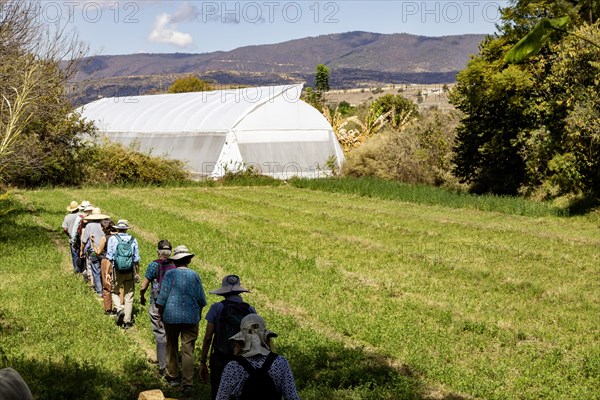San Pablo Huitzo, Oaxaca, Mexico, Farmers are part of a cooperative that uses agroecological principles. They avoid pesticides and other chemicals, and recycle nutrients through the use of organic fertilizers. Visitors to a farm hike towards a greenhouse, Central America