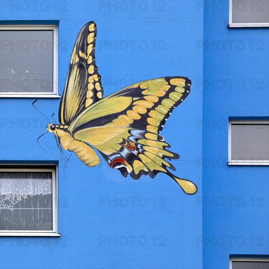 Sunflower house, painted swallowtail butterfly on a skyscraper, artist Ulrich Allgaier, Wuppertal, North Rhine-Westphalia, Germany, Europe