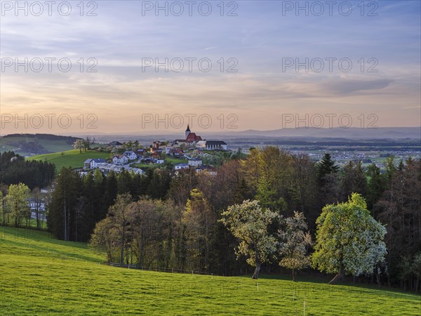 View of St. Michael am Bruckbach, sunset, parish church, blossoming pear trees, Mostviertel, Lower Austria, Austria, Europe