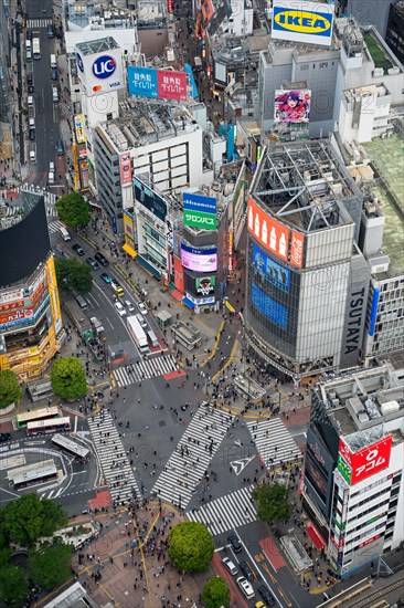Digital billboards and pedestrians using the Shibuya Scramble Crossing, busy pedestrian intersection in Shibuya in capital city Tokyo, Japan, Asia