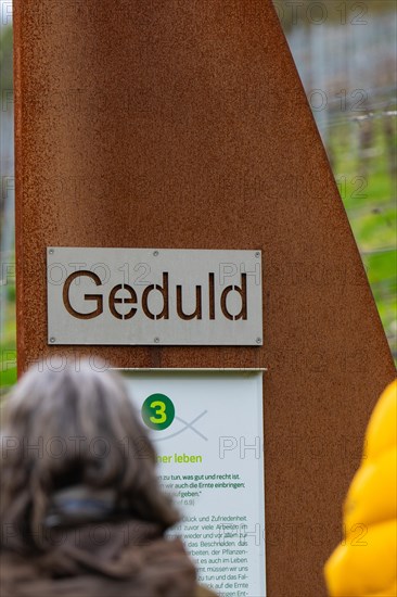 Close-up of a sign with the inscription 'patience' on a learning path in a vineyard, Jesus Grace Chruch, Weitblickweg, Easter hike, Hohenhaslach, Germany, Europe