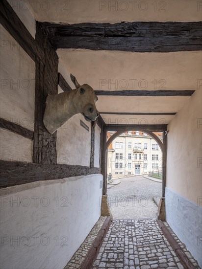 Narrow alley with cobblestones in the historic old town, Schlossgasse, passage through a half-timbered house with a sculpture of a horse's head, Falada from the fairy tale The Goose Girl, Gotha, Thuringia, Germany, Europe