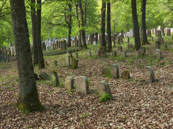 Old Jewish cemetery on the Judenhuegel near Kleinbardorf, municipality of Sulzfeld, Hassberge, Rhoen-Grabfeld, Lower Franconia, Bavaria, Germany, Europe