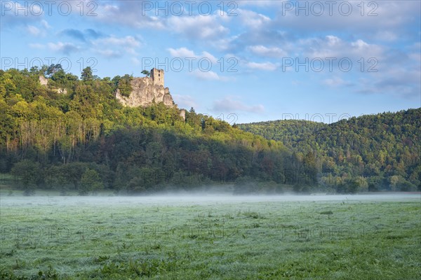 Neideck castle ruins in the morning mist in the Wiesenttal valley, landmark of Franconian Switzerland, Franconian Switzerland, Franconia, Bavaria, Germany, Europe