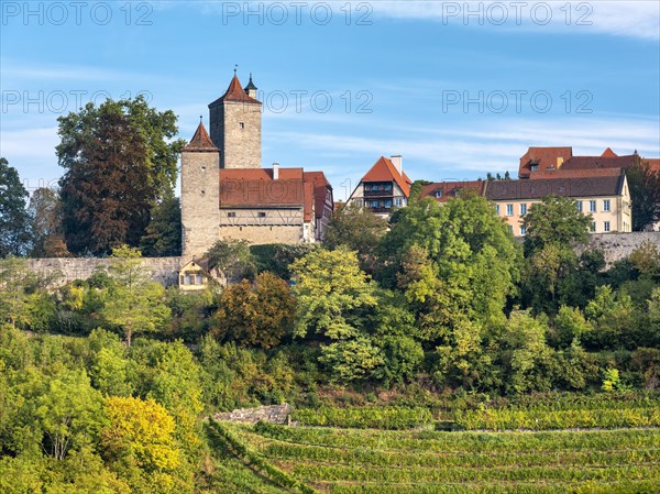 View of the historic old town with town wall, defence towers and vineyard, Rothenburg ob der Tauber, Middle Franconia, Bavaria, Germany, Europe