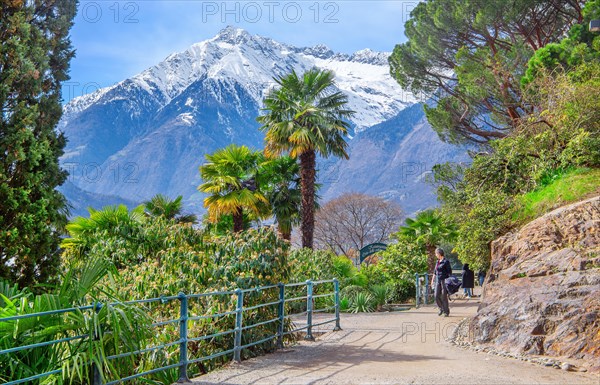 Tappeiner Promenade, Tappeiner Trail in spring with the summit at 3006 metres in the Texel Group, Merano, Pass Valley, Adige Valley, Burggrafenamt, Alps, South Tyrol, Trentino-South Tyrol, Italy, Europe