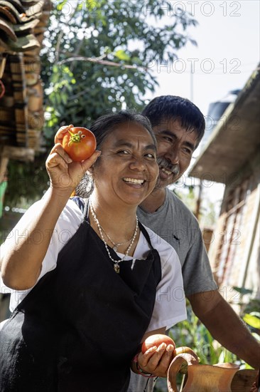 San Pablo Huitzo, Oaxaca, Mexico, Farmers are part of a cooperative that uses agroecological principles. They avoid pesticides and other chemicals, and recycle nutrients through the use of organic fertilizers. Magdalena Balbina Avendano Ruiz and Hilario Roberto Gonzalez display their organic heirloom tomatoes, Central America