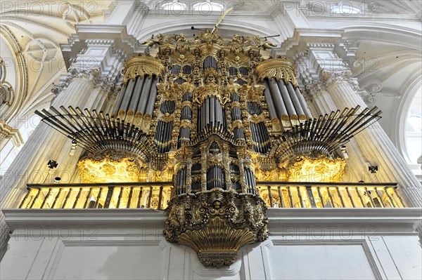 Organ, Cathedral of Santa Maria de la Encarnacion, Cathedral of Granada, Detailed view of a baroque church organ in gold and white, Granada, Andalusia, Spain, Europe