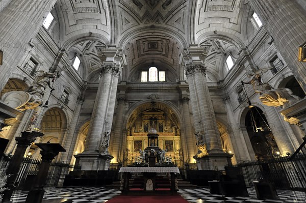 Jaen, Catedral de Jaen, Cathedral of Jaen from the 13th century, Renaissance art period, Jaen, Wide interior of a church with high columns and central altar, Jaen, Andalusia, Spain, Europe