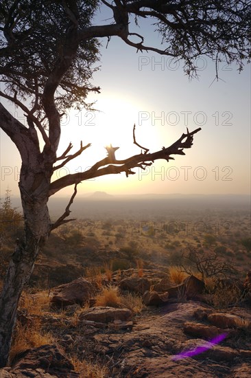 Landscape, Limpopo, South Africa, Africa