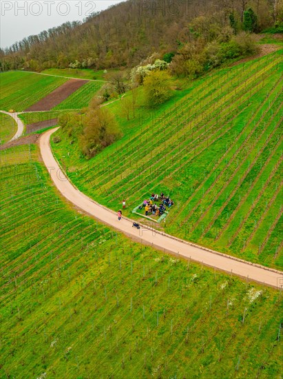 People walking on a path through a green vineyard, Jesus Grace Chruch, Weitblickweg, Easter hike, Hohenhaslach, Germany, Europe