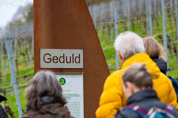 People reading at an information station with the title 'Patience' in a vineyard, Jesus Grace Chruch, Weitblickweg, Easter hike, Hohenhaslach, Germany, Europe