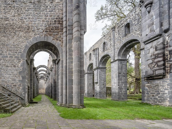 Arnsburg Abbey, ruins of the Romanesque abbey church, Lich. Hesse, Germany, Europe