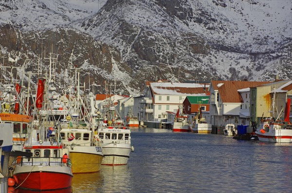 Fishing vessels in the last light of day in the harbour of Henningsvaer, Winter, Lofoten, Nordland, Norway, Europe