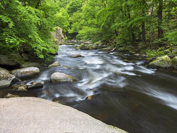 The River Bode with rapids and boulders in the Bode Valley between Thale and Treseburg, Harz National Park, Thale, Saxony-Anhalt, Germany, Europe