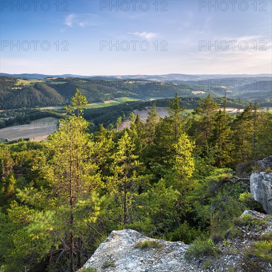 View from the shell limestone slopes near Bad Blankenburg of typical hilly landscape with forests and fields in the evening, Bad Blankenburg, Thuringia, Germany, Europe