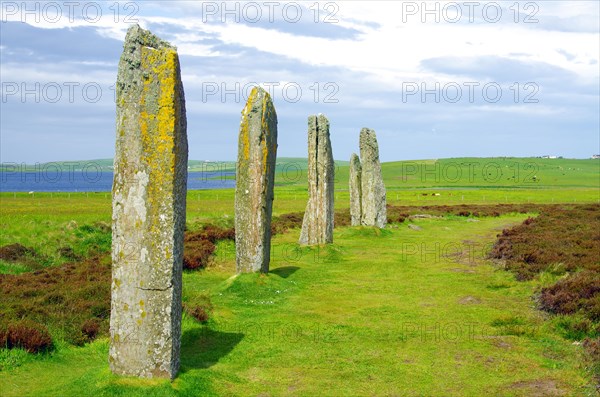 Standing stones from the Stone Age on a green meadow, Unesco World Heritage Site, Ring of Brodgar, Stromness, Orkney Islands, Scotland, UK