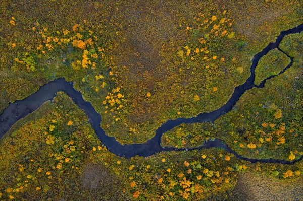 Aerial view over meandering stream in moorland in autumn, fall at Hedmark, Innlandet, Eastern Norway