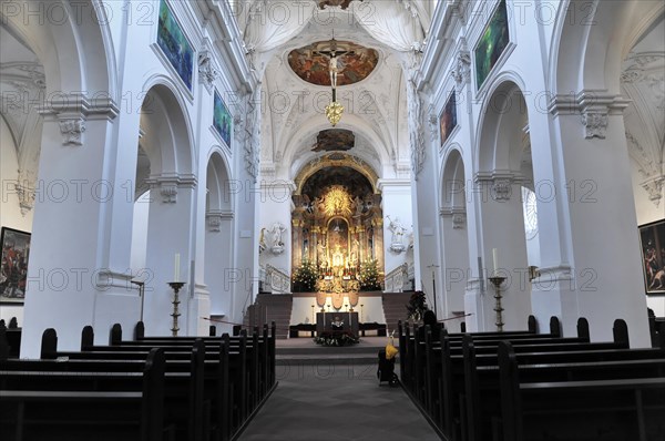 The collegiate monastery Neumuenster, diocese of Wuerzburg, The interior of a church with baroque altar and ceiling frescoes conveys a calm atmosphere, Wuerzburg, Lower Franconia, Bavaria, Germany, Europe