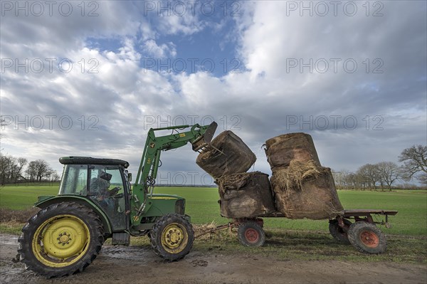 Hay bales are unloaded from a trailer with a tractor, Mecklenburg-Vorpommern, Germany, Europe