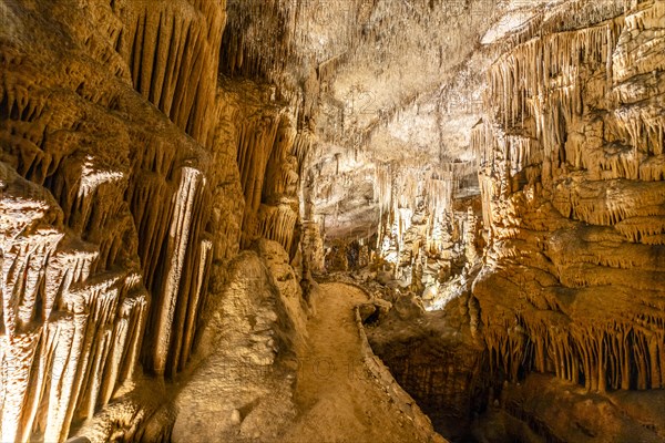 Amazing photos of Drach Caves in Mallorca, Spain, Europe