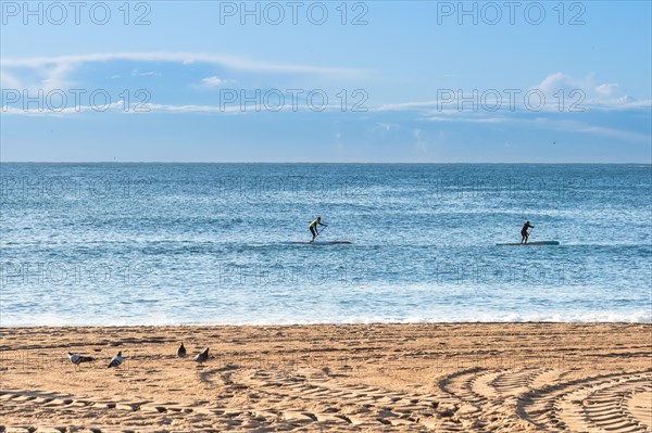 Beach at the Old Harbour in Barcelona, Spain, Europe