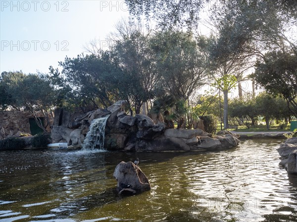 Waterfall and small pond, Fausto Noce Park, Olbia, Sardinia, Italy, Europe
