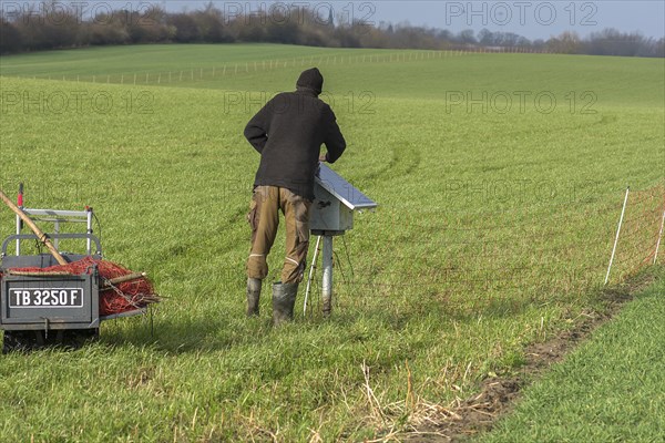 Shepherd attaches a solar panel to the electric fence of the pasture, Mecklenburg-Western Pomerania, Germany, Europe