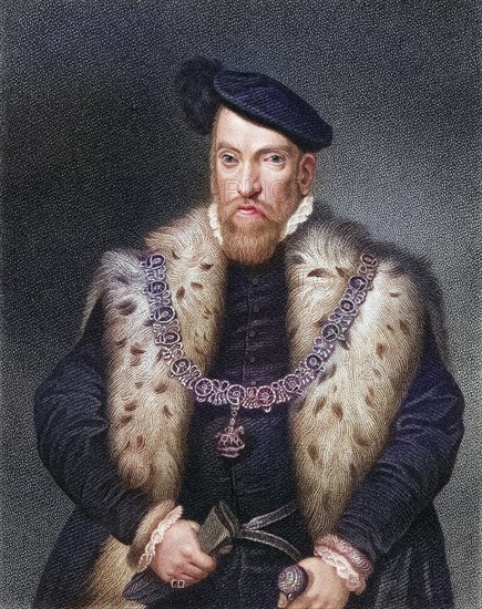 Henry Fitzalan, 12th Earl of Arundel KG (23 April 1512 - 24 February 1580) was an English nobleman, who over his long life assumed a prominent place at the court of all the later Tudor sovereigns, Historic, digitally restored reproduction from a 19th century original, Record date not stated