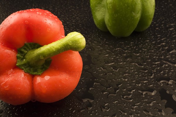 Close-up of freshly picked and washed red and green Capsicum annuum, Bell Peppers on black background with water droplets, Studio Composition, Quebec, Canada, North America