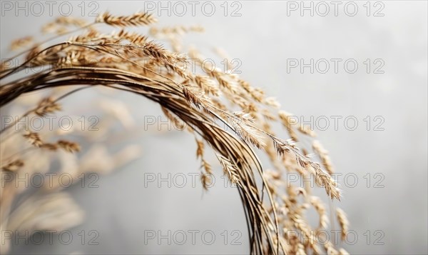 Delicate rattan frame on minimalistic natural material flat background, space for text AI generated