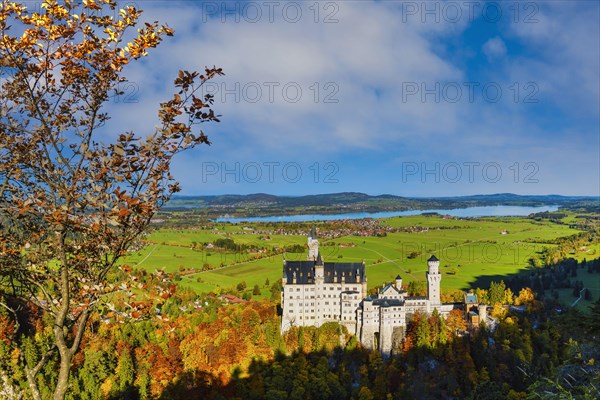 Neuschwanstein Castle near Hohenschwangau, Romantic Road, Ostallgaeu, Bavaria, Germany, Europe