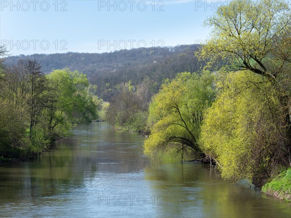A calm river flows through a spring-like forest landscape under a clear sky, spring on the river Saale in the Saale valley not far from Jena, Thuringia, Germany, Europe