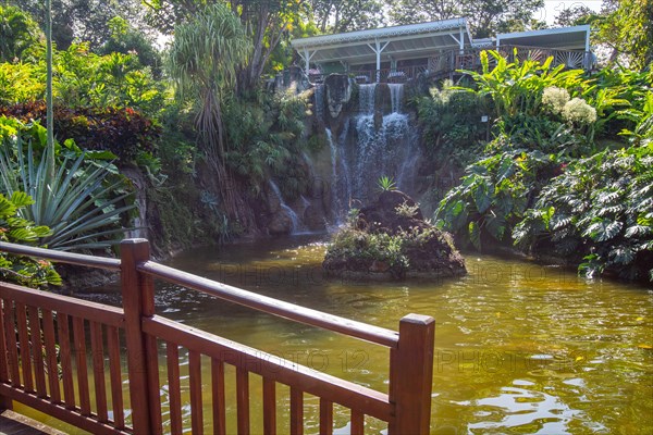 Jardin Botaniqu de Deshaies, botanical garden with flora and fauna in Guadeloupe, Caribbean, French Antilles