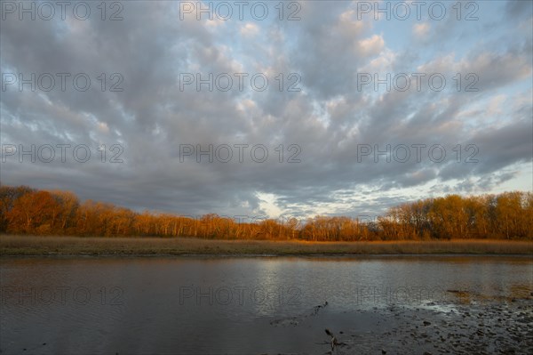 Morning atmosphere, clouds, water, Lower Austria