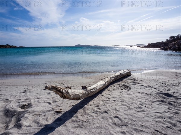 Tree trunk on a lonely beach, Capriccioli beach, Costa Smeralda, Sardinia, Italy, Europe