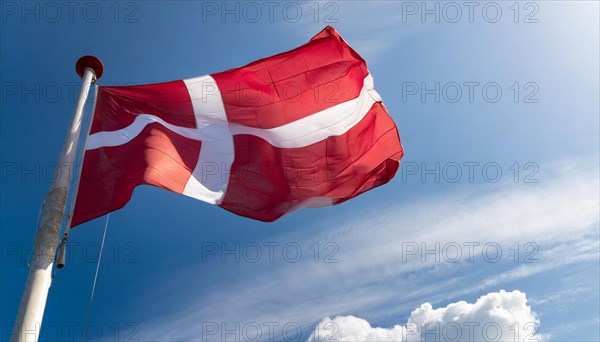 Flag, the national flag of Denmark fluttering in the wind