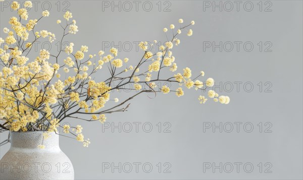 A detailed shot of Mimosa stems arranged in a vase AI generated