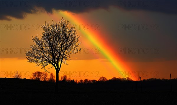 Colorful rainbow after spring rain, rainbow on dark cloudy sky AI generated