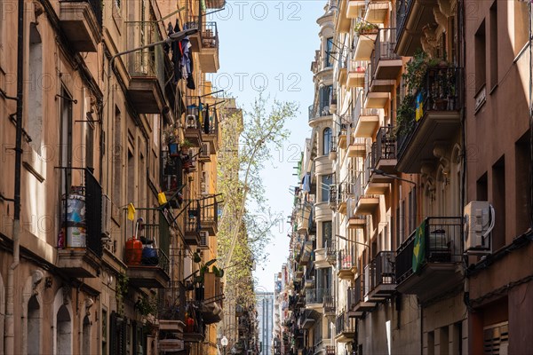 Street in Barcelonata, an old neighbourhood at the port of Barcelona, Spain, Europe