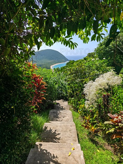 A beach in the Caribbean on the Atlantic coast in Deshaies, Guadeloupe, French Antilles, North America