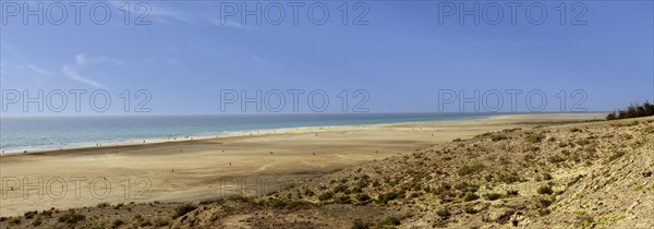 View from the sand dune to Playa de Sotavento, Jandia, Fuerteventura, Canary Islands, Spain, Europe