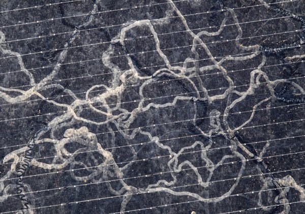 Sahara dust on a solar module, solar panel, a balcony system on a green roof, Braunschweig, Lower Saxony, Germany, Europe