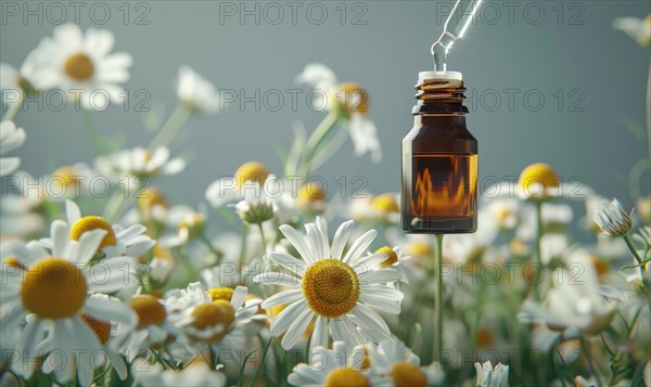 Chamomile essential oil in a dropper bottle, closeup view, skin care cosmetic background AI generated