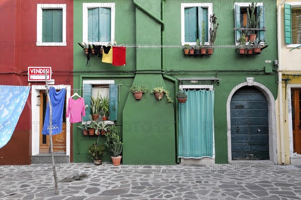 Colourful houses, Burano, Burano Island, Colourful clothes hanging in front of a green house with plants on the windows, Burano, Venice, Veneto, Italy, Europe