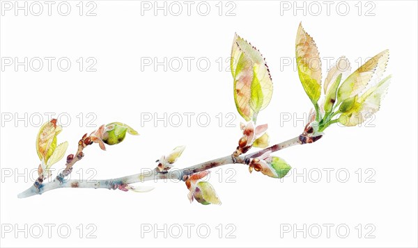 Tree sprout with coins growing from its buds, watercolor illustration on white background AI generated
