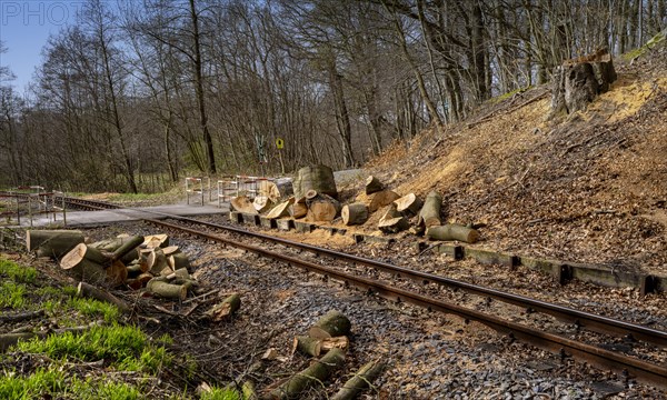 Narrow-gauge railway bed of the Raging Roland, Ruegen, Mecklenburg-Western Pomerania, Germany, Europe