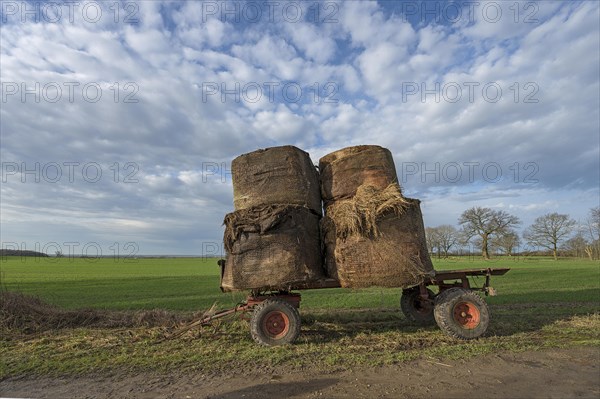Loader wagon loaded with old hay bales at the edge of a field, Mecklenburg-Western Pomerania, Germany, Europe